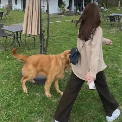拉各斯黑帮